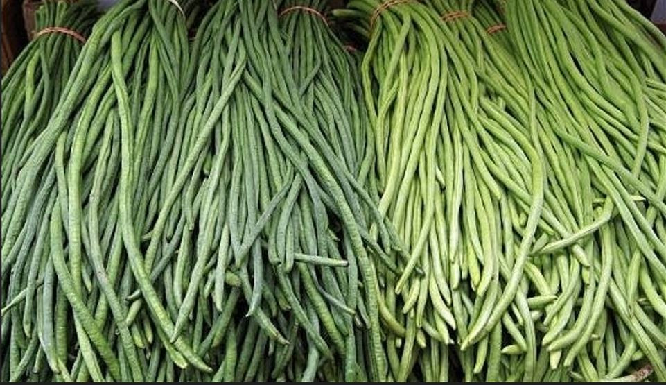 तने बोडीमा  ९५ प्रतिशतभन्दा अर्गानोफस्फेट नामक विषादी