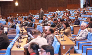 सरकारको नीति तथा कार्यक्रम प्रतिनिधिसभाबाट बहुमतले पारित