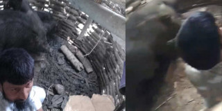 सर्लाहीका एक अन्सारीलाई सुँगुरको खोरभित्र हालेर कुटपिट, १० जना पक्राउ