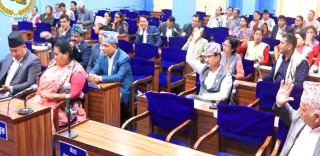 बागमती प्रदेशसभा : पुनः संसद् छिर्‍यो विवादित चिट्ठा विधेयक