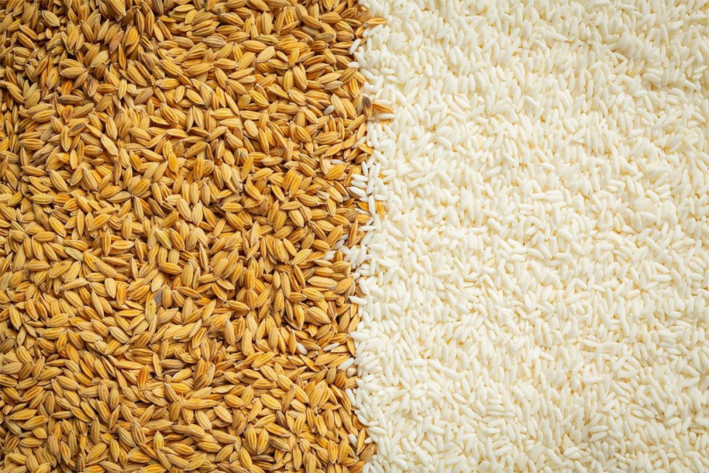 चार महिनामा १० अर्ब १८ करोड बढीको धान-चामल आयात