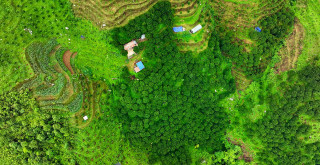 सुन्तला खेती