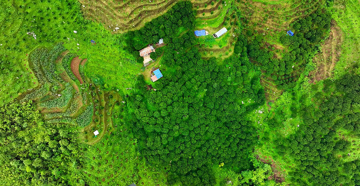 सुन्तला खेती