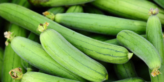 घिरौँलामा भेटियो ३७.९२ प्रतिशत विषादीको मात्रा