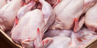 कुखुराको मासुको मूल्य  घट्यो