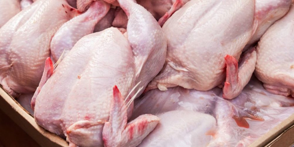 कुखुराको मासुको मूल्य  घट्यो