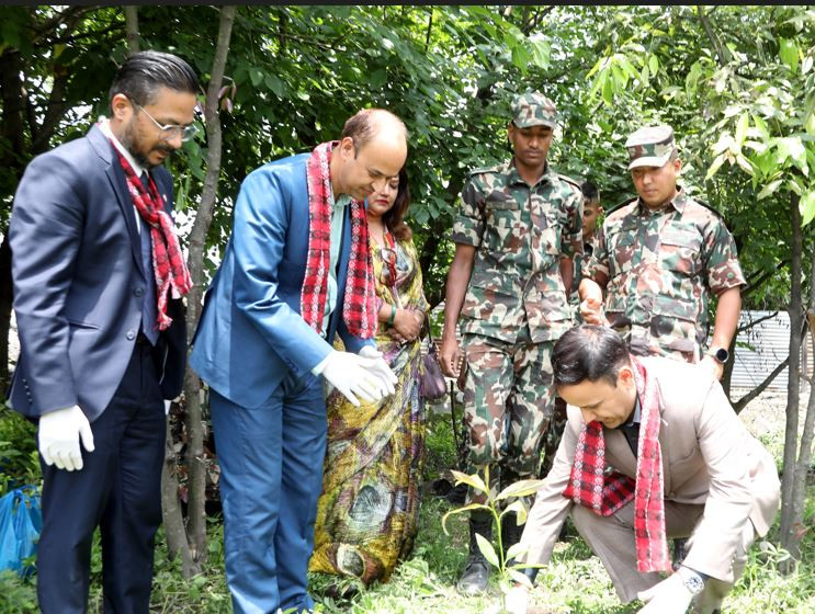ग्लोबल आइएमई बैंकद्वारा विश्व वातावरण दिवसको अवसरमा  देश व्यापीरुपमा वृहत् बृक्षारोपण कार्यक्रम आयोजना