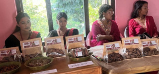 कक्षा १२ को परीक्षा दिएर बसेकालाई कोदोको परिकार बनाउने तालिम