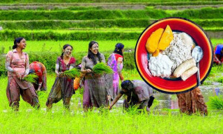 आज असार १५: राष्ट्रिय धान दिवस र दही चिउरा खाएर मनाइँदै