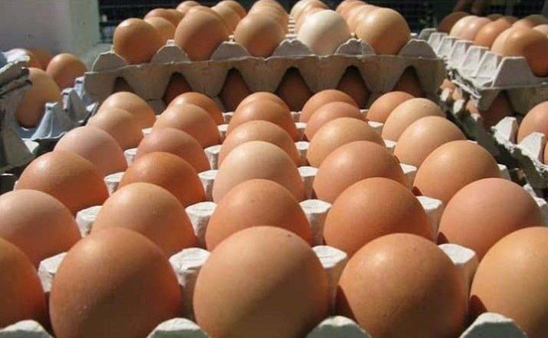 अण्डाको नयाँ मूल्य लागु, प्रतिक्रेट कति?