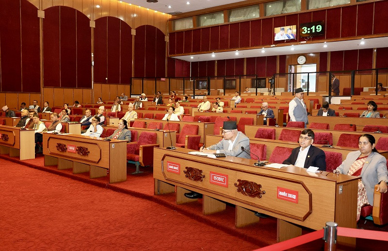 राष्ट्र ऋण उठाउने विधेयक राष्ट्रिय सभाबाट  बहुमतले पारित