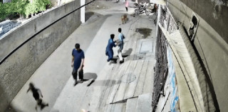 घरपालुवा सिंहले तीन जनालाई आक्रमण गरेपछि एक पुरुषलाई पक्राउ