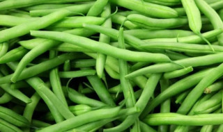 घिउ सिमीमा भेटियो अत्यधिक विषादी