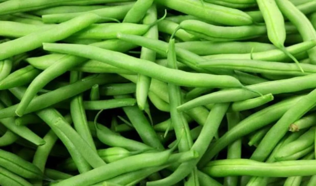 घिउ सिमीमा भेटियो अत्यधिक विषादी