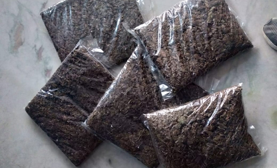 मोरङमा करिब ३ हजार १ सय ५० किलो गाँजा बरामद