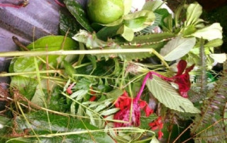 आज साउने संक्रान्ति: ‘लुतो फाल्ने’ दिन, देशभर स्नान, दान एवं रमाइलो गरेर मनाइँदै