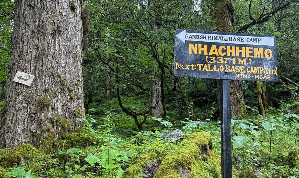 मनास्लु पदमार्गको ५३ स्थानमा ‘मार्किङ पोल’ तथा ‘साइनपोष्ट’