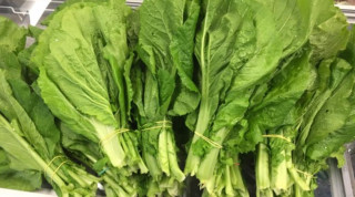 दोलखाबाट आएको रायोको सागमा  भेटियो विषादी