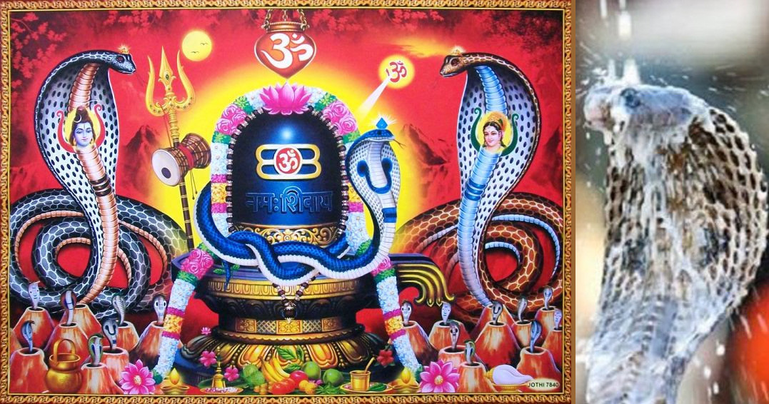 किन मनाइन्छ नाग पञ्चमी ? यस्तो छ पौराणिक मान्यता