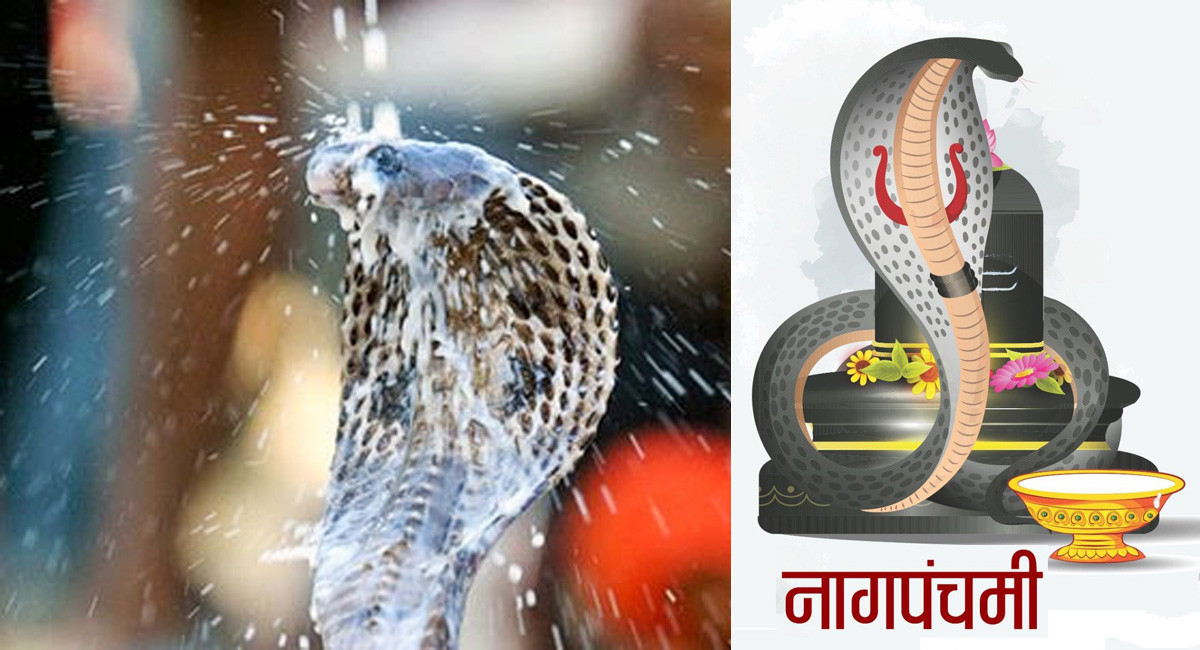 आज नागपञ्चमी, नागको पूजाआराधना गरी मनाइँदै