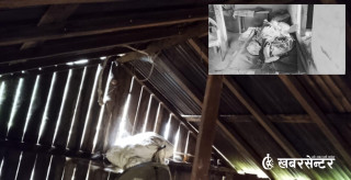 घाँटी थिचेर श्रीमतीको हत्या, आफू पनि झुण्डिएर आत्महत्या गर्न खोज्दा डोरी चुँडिएपछि...