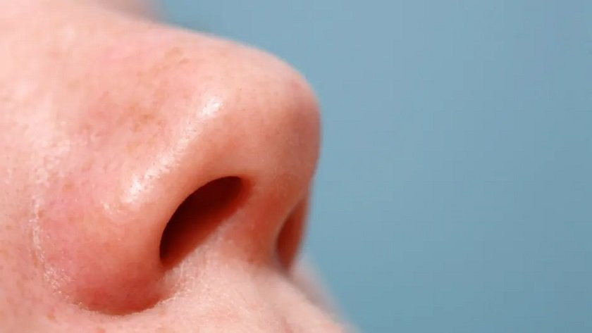 १४ पटक चक्कु हान्दा पनि बाँचेकी श्रीमतीको नाक श्रीमानले टोकेर चुँडाइदिए