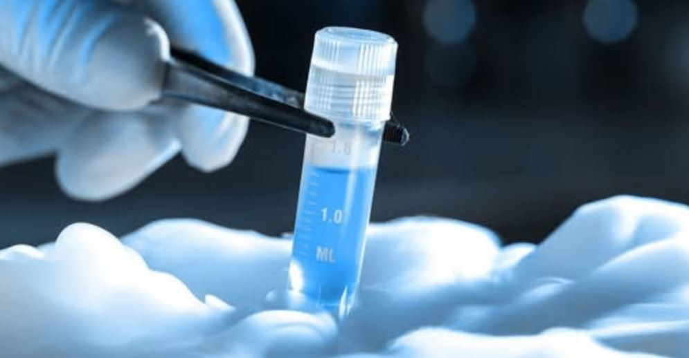 डिम्ब निष्काशन र भण्डारणको काम नगर्न सर्वोच्च अदालतको आदेश