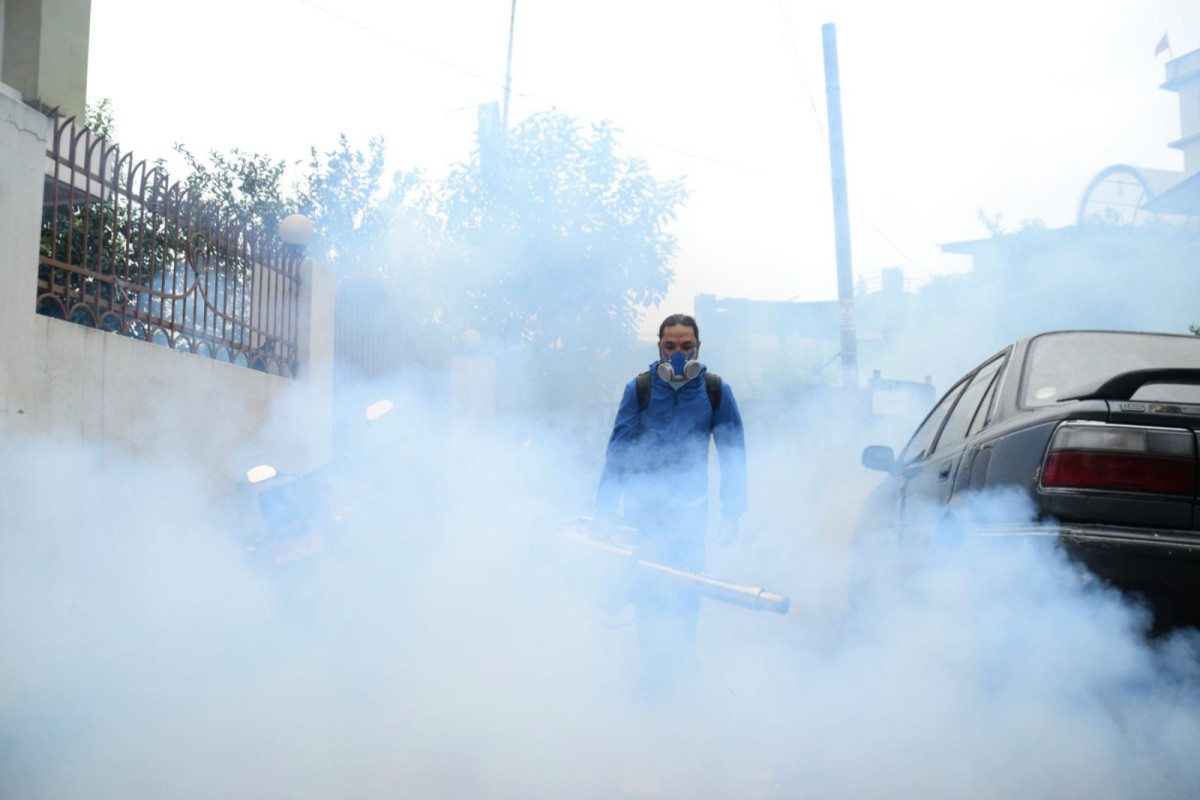 लामखुट्टे मार्न आज काठमाडौं महानगरको मेगा अभियान ‘वाक एन्ड एक्ट’