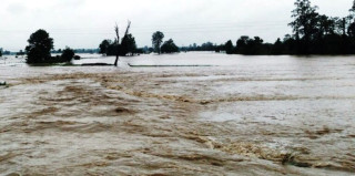 पाकिस्तानमा वर्षाजन्य विपद्बाट २४ घण्टामा २४ जनाको मृत्यु, १५ जना घाइते