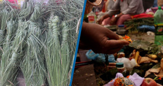 आज घर–घरमा कुश भित्र्याएर कुशे औँसी मनाउँदैै, बुबाको मुख हेर्ने दिन पनि आजै