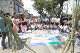 उखुको अनुदान भुक्तानी माग गर्दै किसानको आन्दोलन जारी