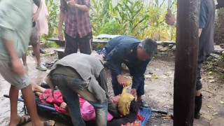 छाउ बार्न पालमा सुतिरहेका बेला ढुङ्गा खस्दा महिला र बालिकाको मृत्यु, एक गम्भीर घाइते