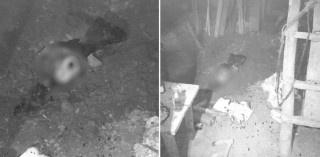 बाँसको भाँटा र हंसियाले हानेर श्रीमतीको हत्या, भान्सामै गाडे शव