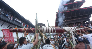 बसन्तपुरमा लिङ्गो ठड्याएर सुरु गरियो इन्द्रजात्रा (तस्बिरसहित)
