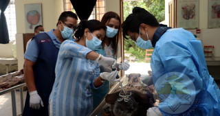 नेपाल मेडिकल कलेजमा शल्यक्रियाको प्रभावकारीता बढाउन कार्यशाला