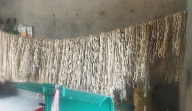 तालिमले फेरिएको जुगरानीको जीवन : केराको रेसाबाट कपडा उत्पादन