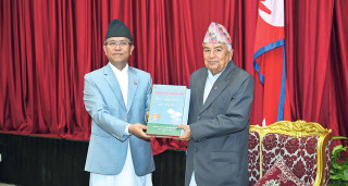 ३७ हजार २६ उजुरी: आधाभन्दा बढी प्रतिवादी सरकारी कर्मचारी, निर्वाचित जनप्रतिनिधि ४८ जनाविरुद्ध मुद्दा