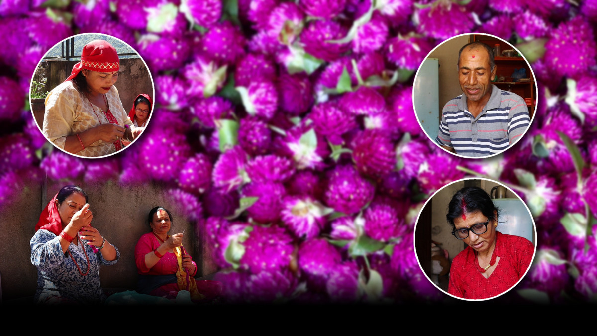 मखमली फूलको मालाको मूल्य निर्धारण गर्न किसानको माग, उचित मूल्य नपाएको गुनासो