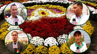 ‘एकै ठाउँमा ५० थरिका गोदावरी फूलः पाइन्छन् पचास हजारसम्मका बिरुवा’