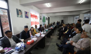 कांग्रेस केन्द्रीय समितिको बैठक सुरु, सदस्यहरूले एजेन्डा केन्द्रित धारणा राख्दै