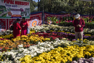 तिहार ‘फ्लोरा एक्स्पो’ सकियो, एक करोडको कारोबार