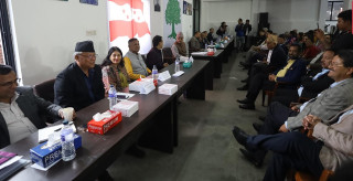 नेपाली कांग्रेस केन्द्रीय समिति बैठकमा होहल्ला