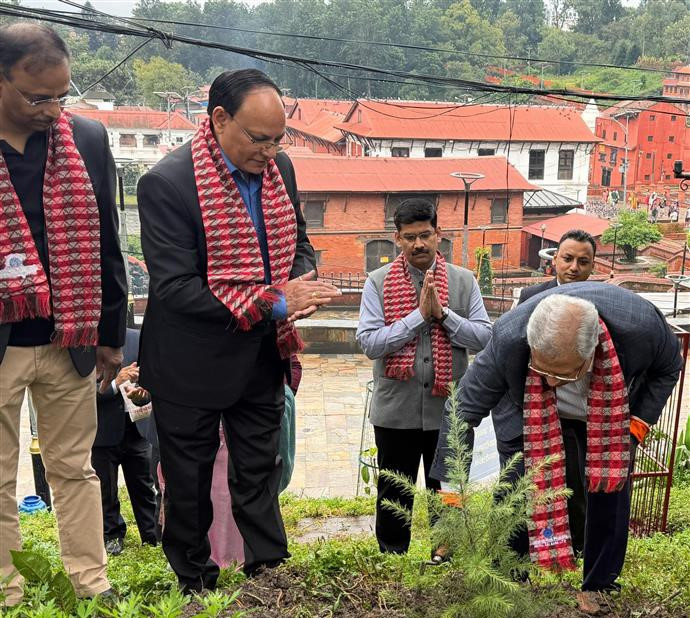 नेपाल एसबिआई बैंक लिमिटेडद्धारा पशुपति मन्दिर परिस कैलाश डाँडांमा वृक्षारोपण कार्यक्रम