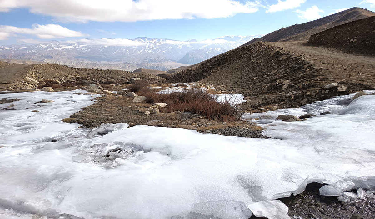 जमेको खोला