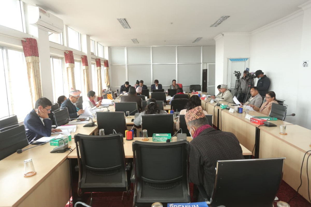 संसदीय समितिद्वारा चलचित्र विधेयक २०८१ को मस्यौदा प्रतिवेदन पारित