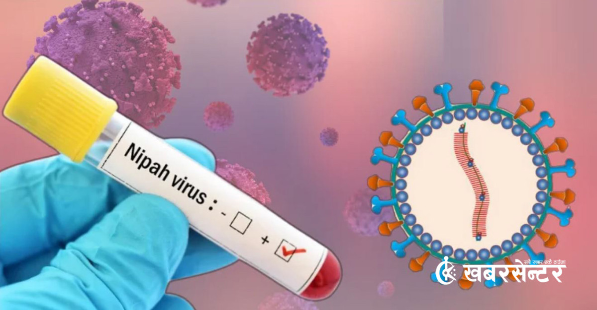 निपा भाइरसः परिक्षण र उपचारका लागि तयारी अवस्थामा रहन देशभरका स्वास्थ्य संस्थालाई निर्देशन