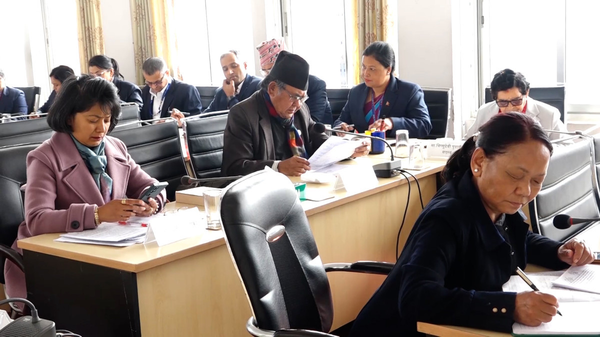 अभौतिक सांस्कृतिक सम्पदा विधेयकको नाम फेर्न सुझाव