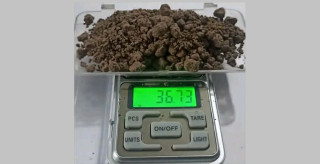 गोली हानेर प्रहरीले समात्यो लागुऔषध कारोबारी