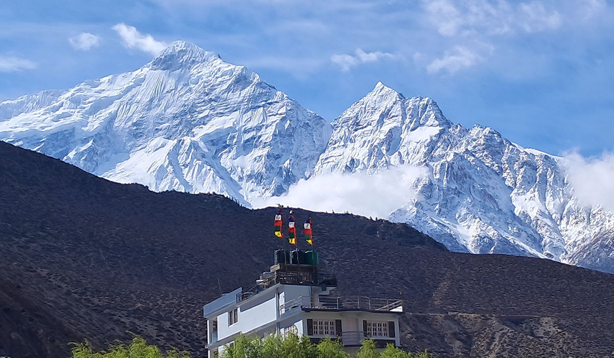 सेताम्मे नीलगिरि हिमाल