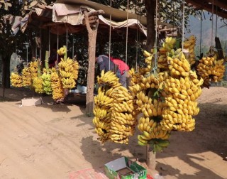 राजमार्ग छेउछाउका साना तरकारी तथा फलफूल व्यापारी विस्थापित हुँदै